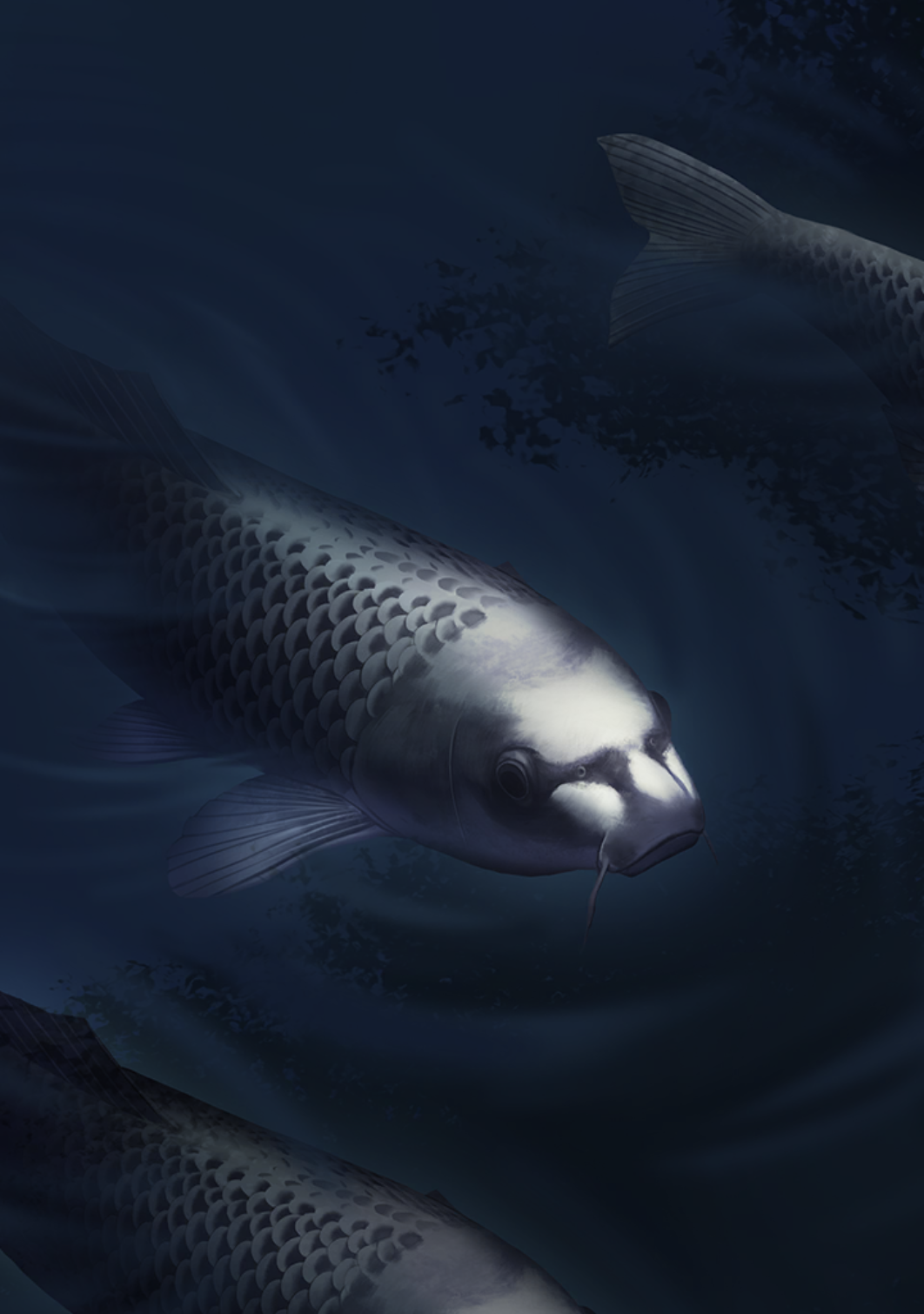 人面魚(フォト) - アプリ版けものフレンズ3wikiなのだ！