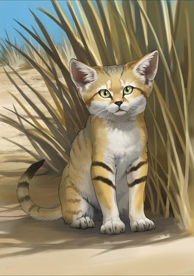 SSRロイヤルペンギン 裏面スナネコ けものフレンズ3 アナザー SSR