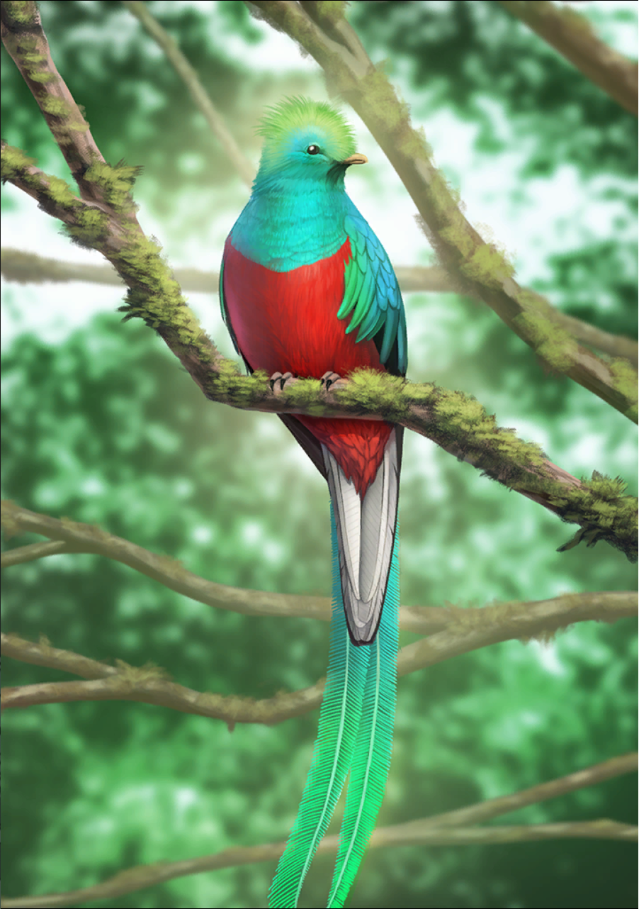 ケツァール フォト アプリ版けものフレンズ３wikiなのだ