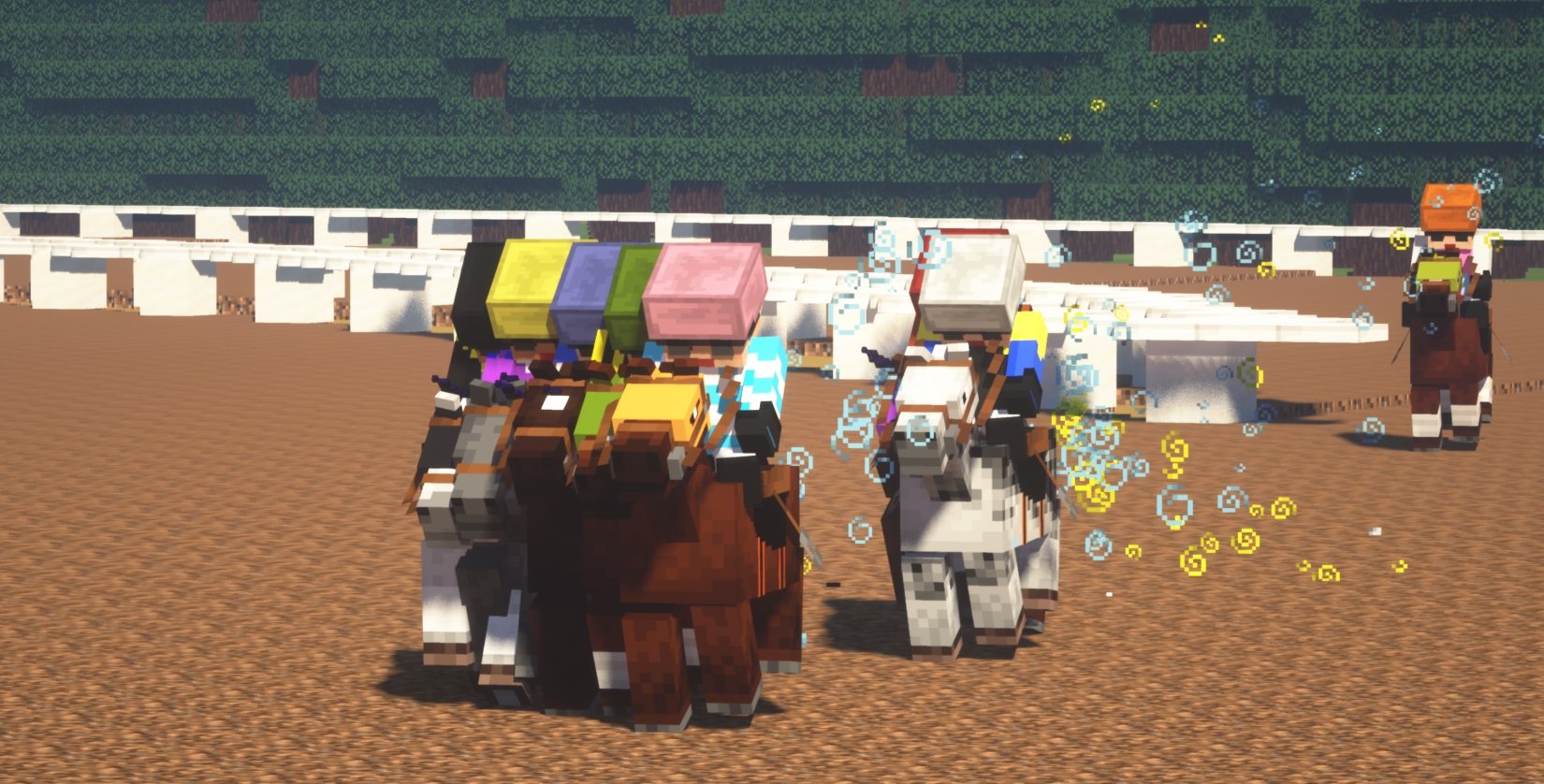 前・北条大賞典