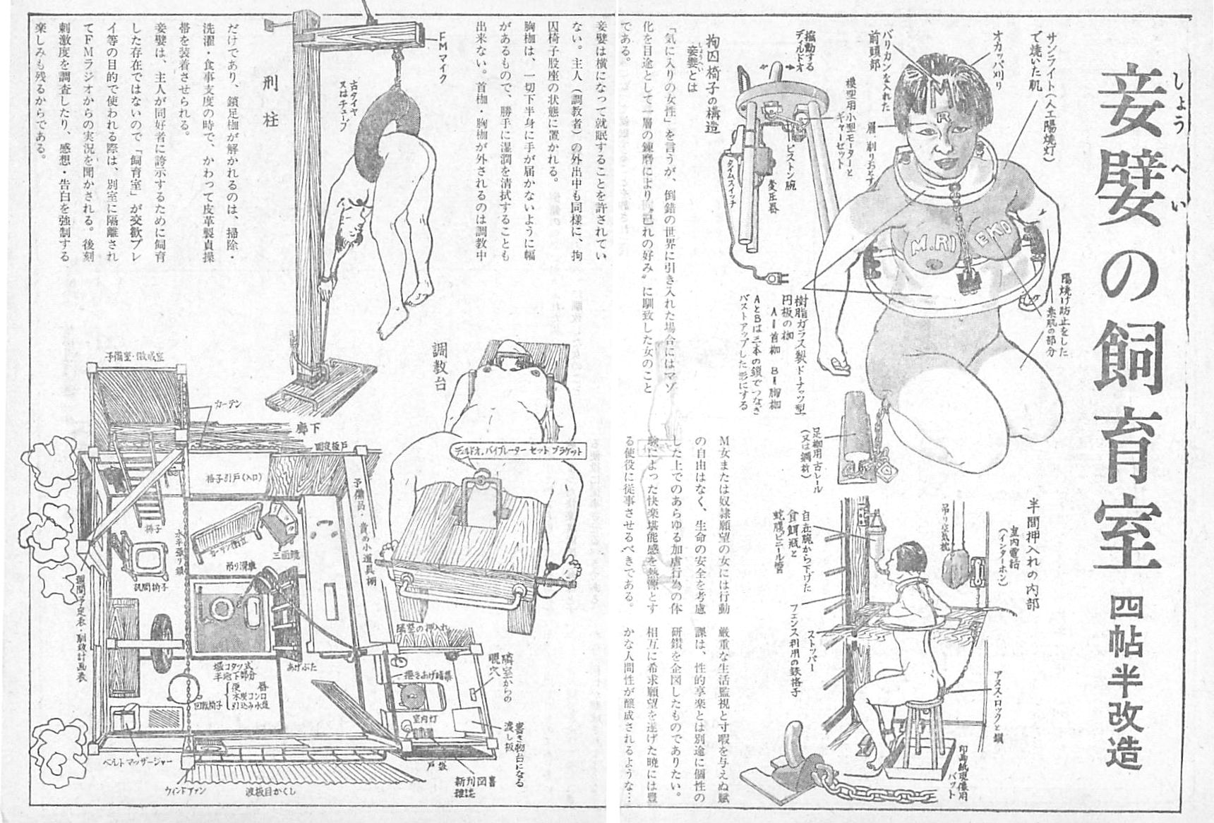 妾緊縛監禁  
