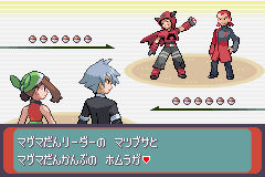 タッグバトル おんjシャドウバース部 タッグバトル おんjシャドウバース部